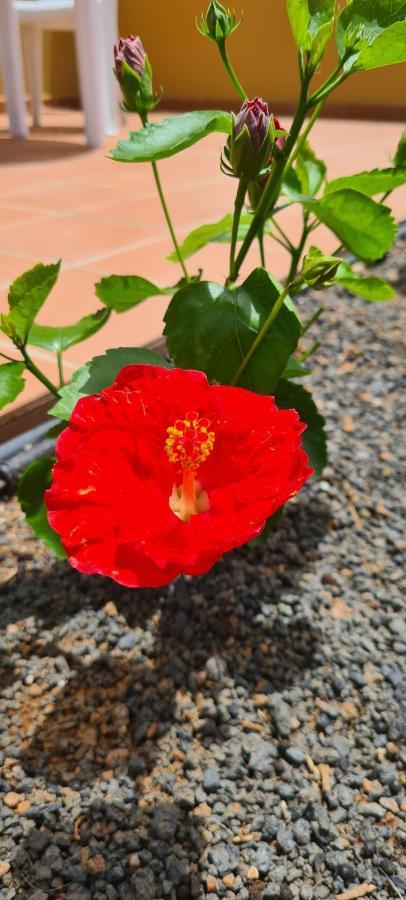 Casa Mari Y Jose Con Grandes Piscinas Y Wifi Gratis Apartment Corralejo Ngoại thất bức ảnh